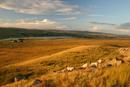 9337 Evening Light on Hury Reservoir. Taken from the Pennine Way Footpath, Goldsborough, Teesdale, County Durham.